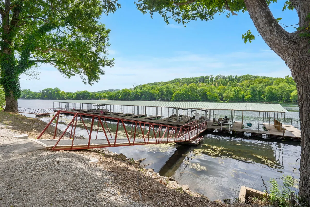 This image shows a peaceful lakeside dock surrounded by lush trees and calm water. The dock stretches into the water, offering an inviting spot for fishing, launching a kayak, or simply soaking in the scenery. The lighting suggests either early morning or late afternoon, hinting at the possibility of catching sunrise or sunset views by the shore.